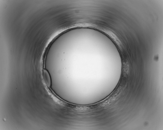 X0000099301046200805161344