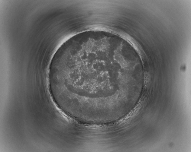 X0000099301048200805161344