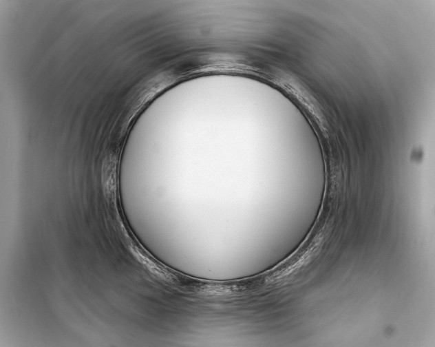 X0000099301049200805161344