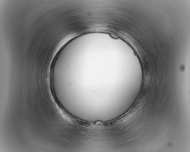 X0000099301050200805161344