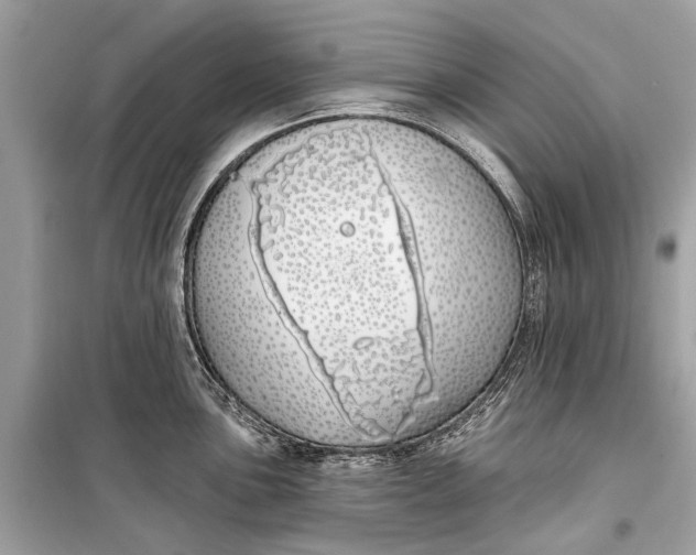 X0000099301051200805161344