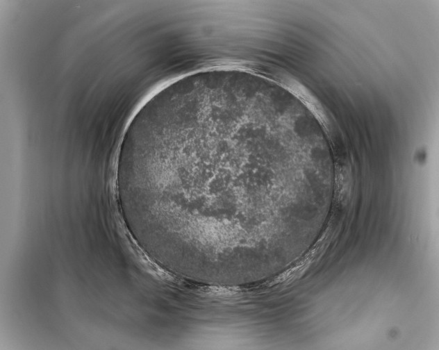 X0000099301052200805161344