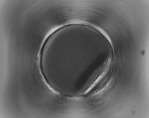 X0000099301053200805161344