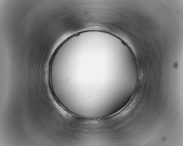 X0000099301054200805161344