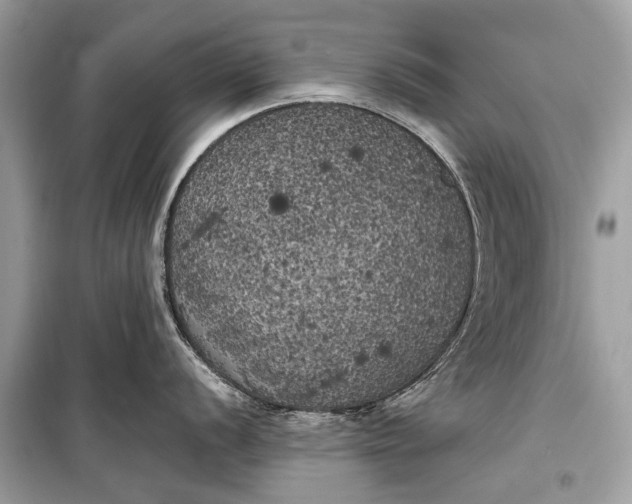 X0000099301056200805161344