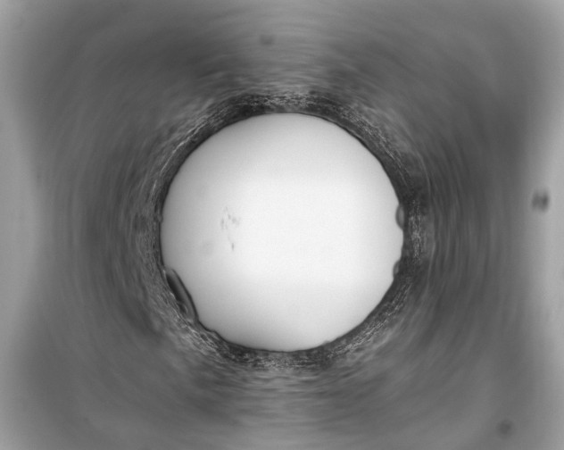 X0000099301057200805161343