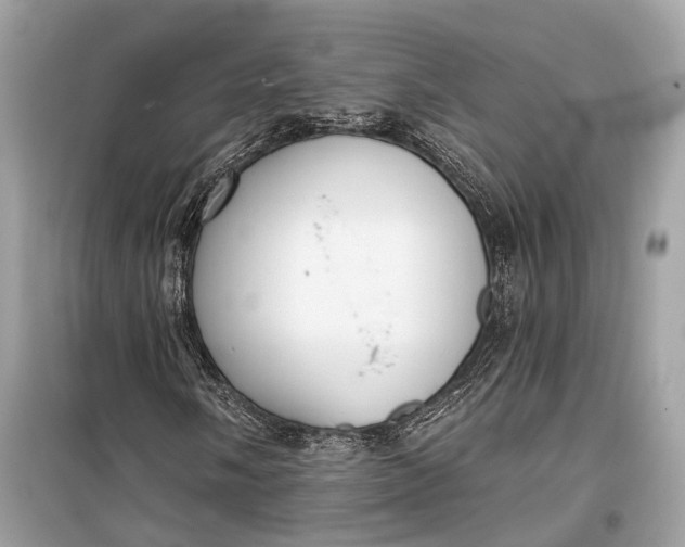 X0000099301058200805161343