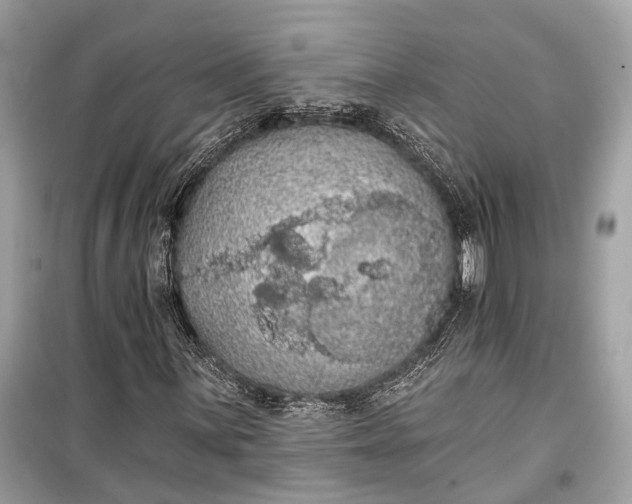 X0000099301059200805161343