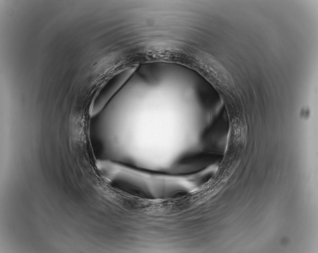 X0000099301060200805161343