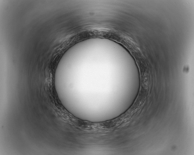 X0000099301061200805161343