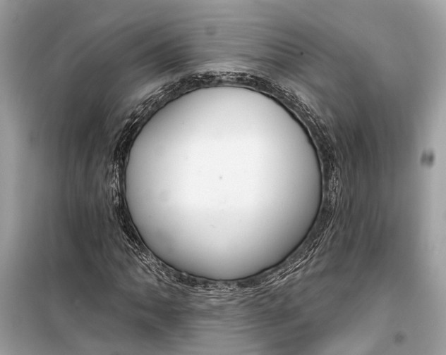 X0000099301062200805161343