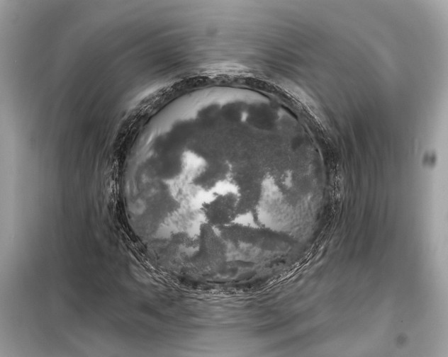 X0000099301063200805161343