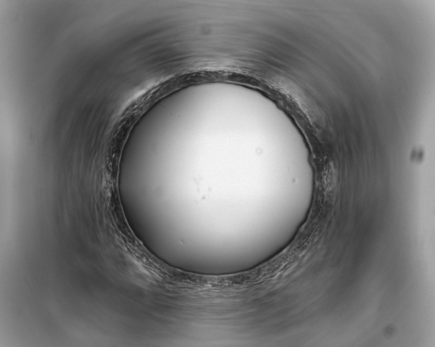 X0000099301064200805161343