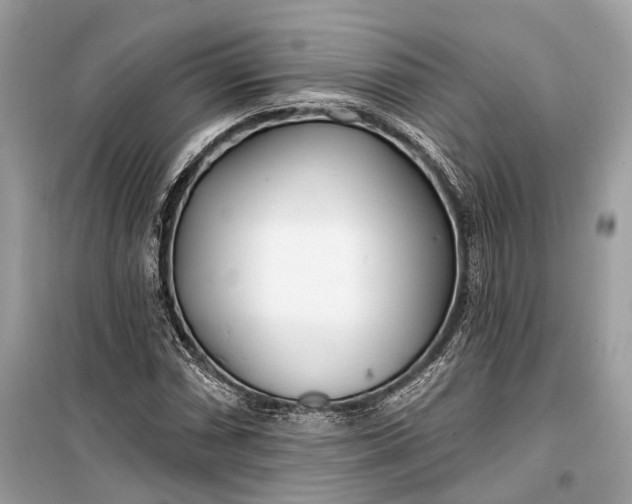 X0000099301066200805161343