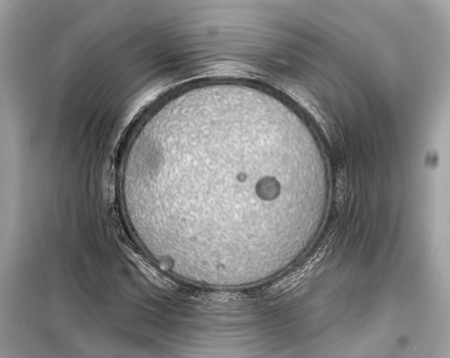 X0000099301067200805161343