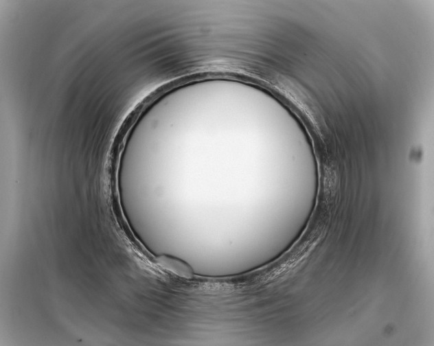 X0000099301068200805161343