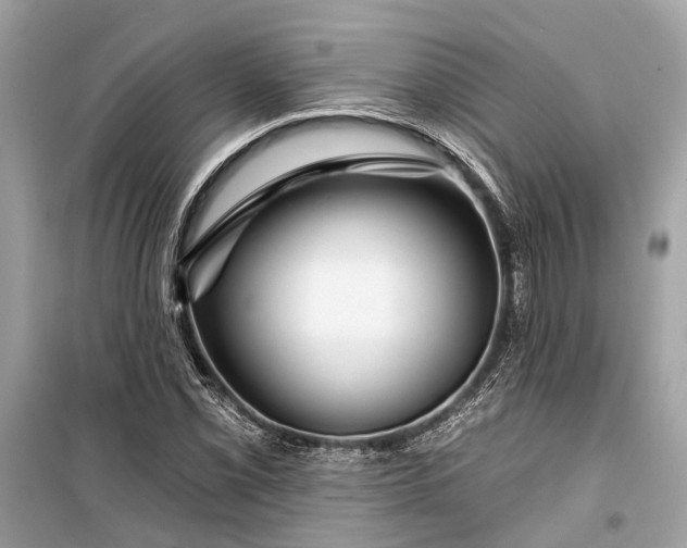 X0000099301069200805161343