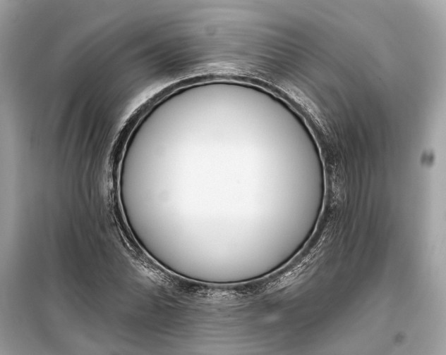 X0000099301070200805161343