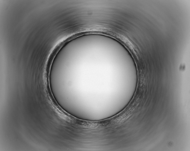 X0000099301072200805161343