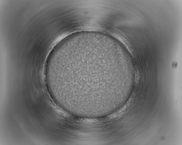 X0000099301074200805161343