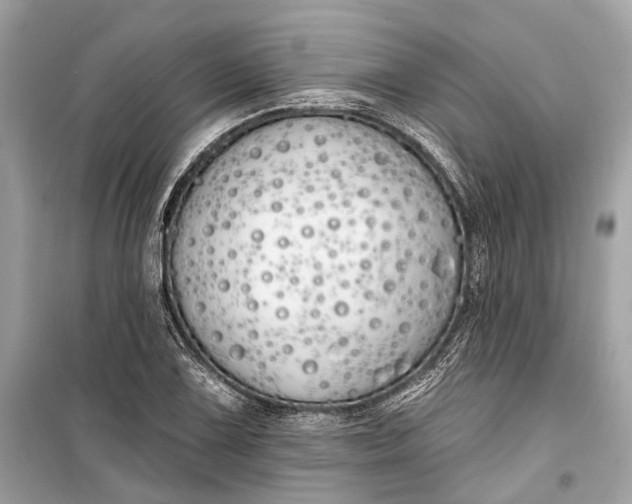 X0000099301075200805161343