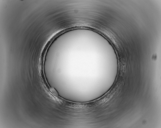 X0000099301076200805161343