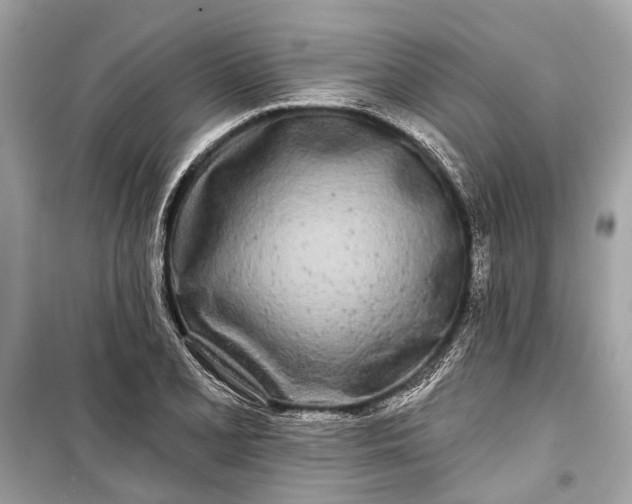 X0000099301077200805161343