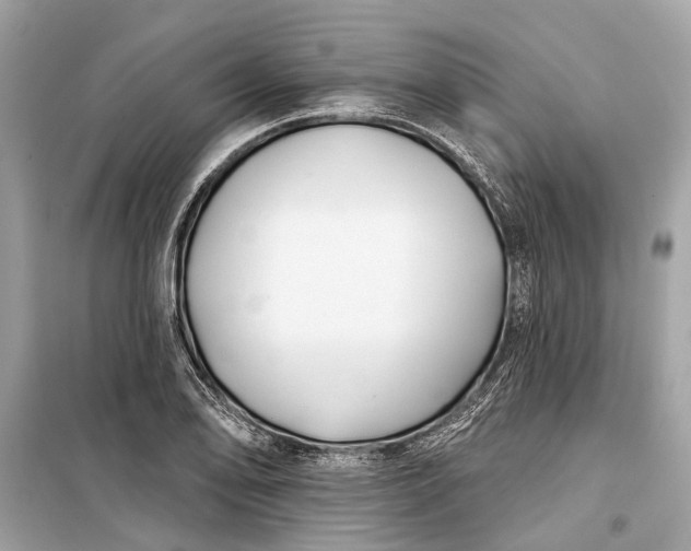 X0000099301078200805161343