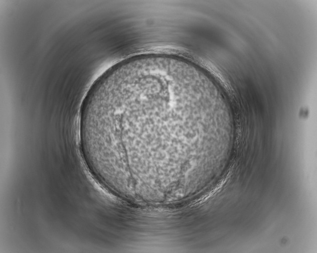 X0000099301079200805161343