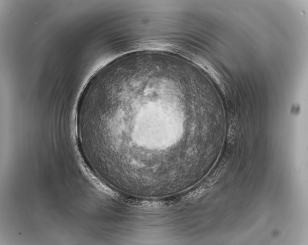 X0000099301080200805161343