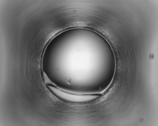 X0000099301081200805161343