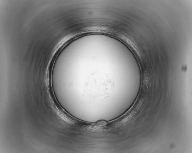 X0000099301082200805161343