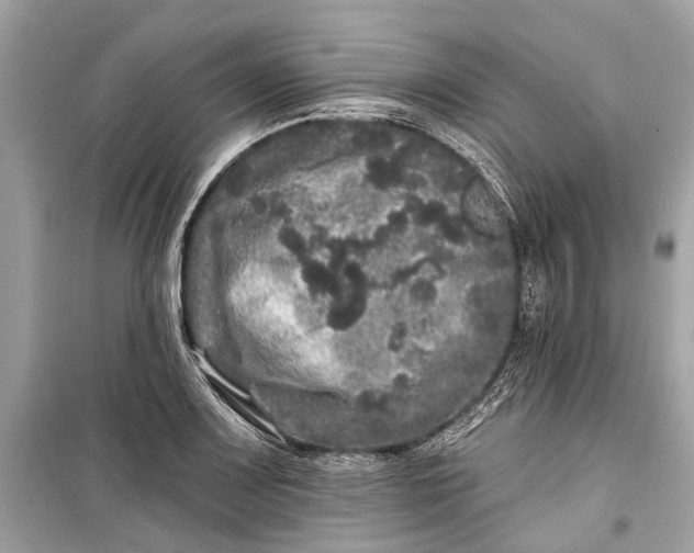 X0000099301083200805161343