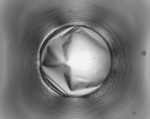 X0000099301084200805161343