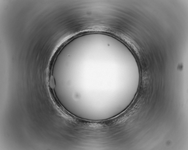 X0000099301085200805161343