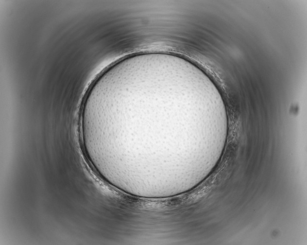 X0000099301086200805161343