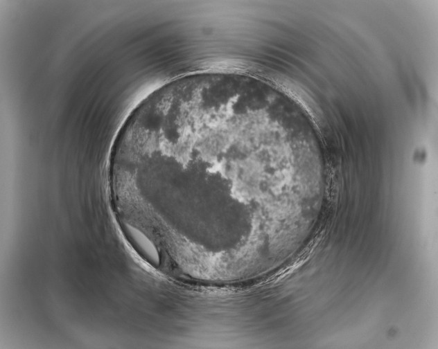 X0000099301087200805161343