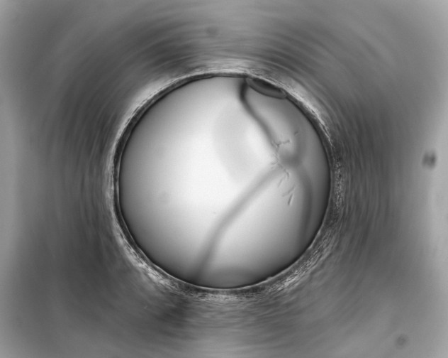 X0000099301088200805161343