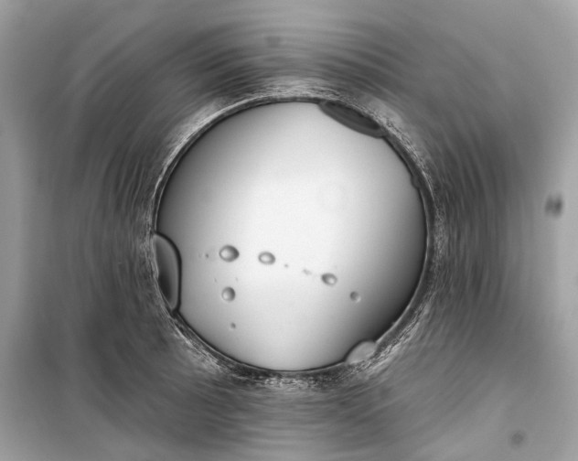 X0000099301089200805161343