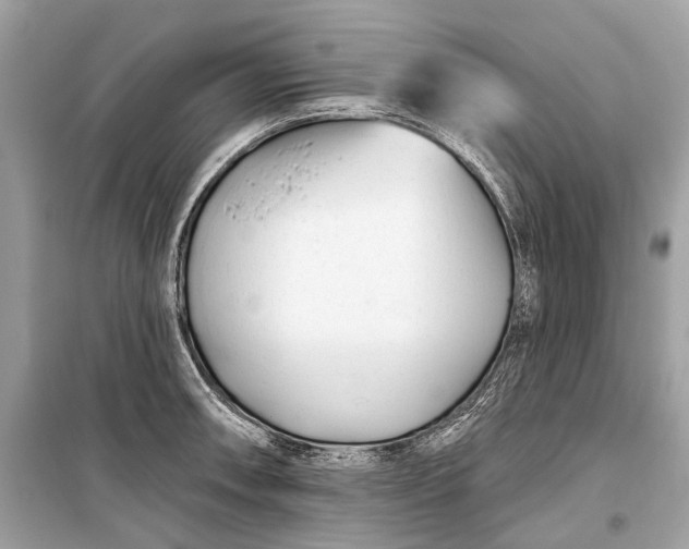 X0000099301090200805161343