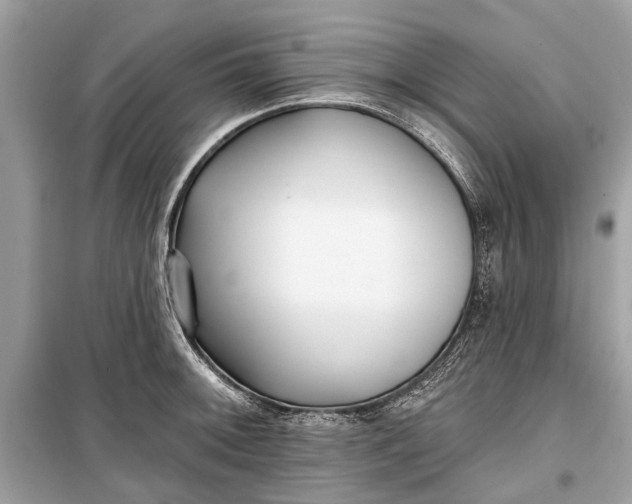 X0000099301092200805161343