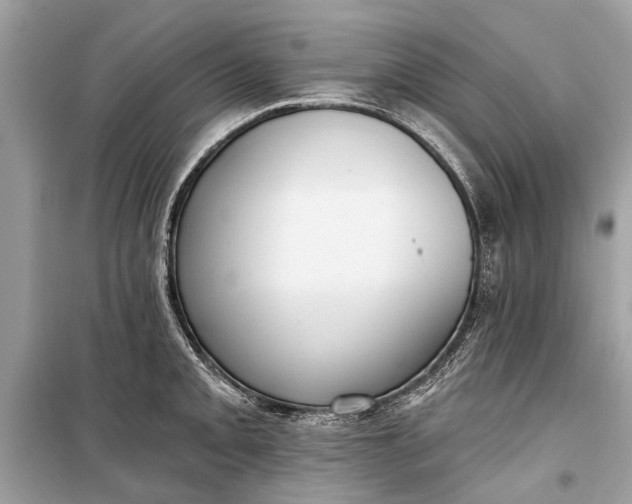 X0000099301093200805161343