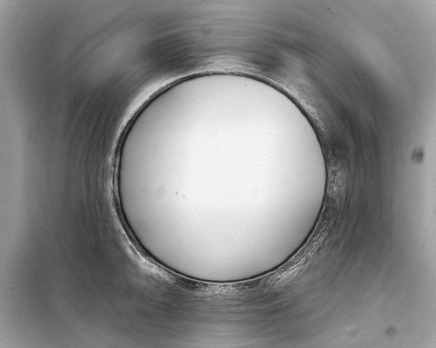 X0000099301094200805161343