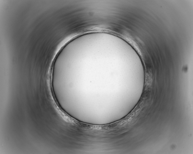 X0000099301098200805161343