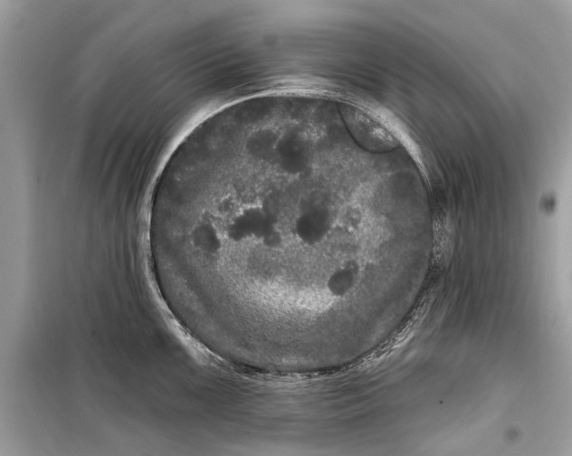 X0000099301099200805161343