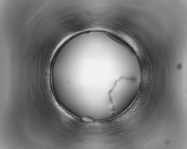 X0000099301100200805161342