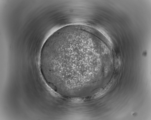 X0000099301101200805161342