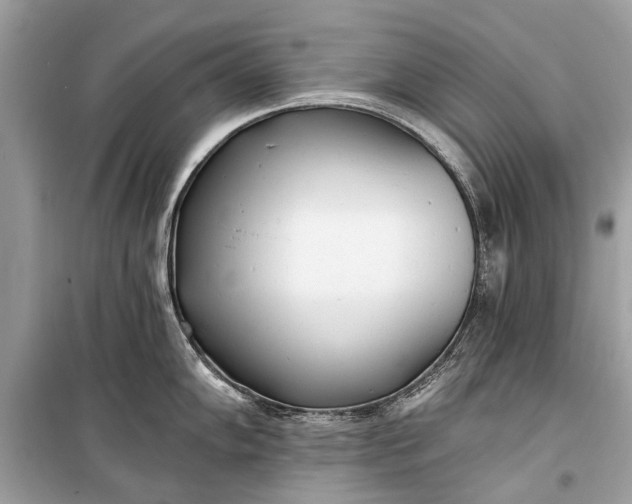 X0000099301102200805161342