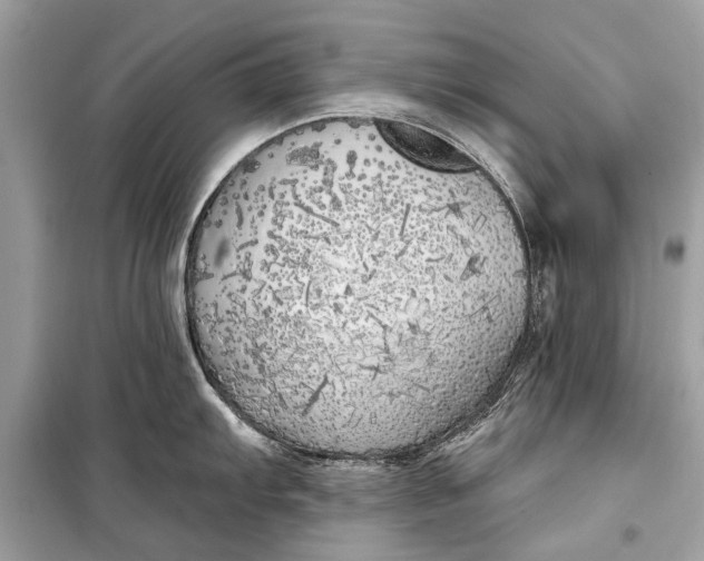 X0000099301103200805161342