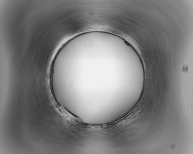 X0000099301104200805161342